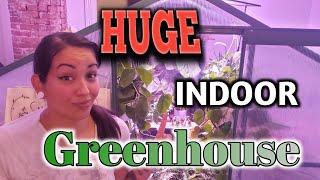 I built a HUGE Indoor Greenhouse In My Dining Room