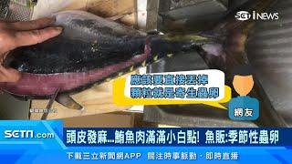 鮪魚肉「滿滿小白點」能吃嗎？市場魚販揭密「詭異顆粒」是啥！海產專家：煮熟就可以吃｜健康知識 都在 祝你健康