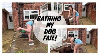 Clean With Me | Bathing My Dog | Fail!