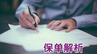 如何看懂人寿保险保单?|Life Insurance Policy