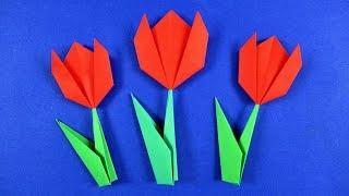 Paper flowers  How to make a Tulip from paper