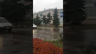 Осенний Урюпинск.Живой бордюр.