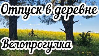 Велопрогулка за ландышами и в рапсовое поле Цветущий май 