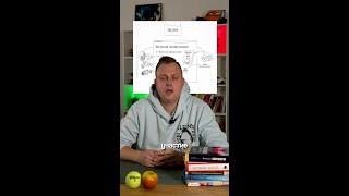 Как участвовать в госзакупках #тендеры #госзакупки #44фз #223фз #бизнес