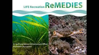 The Life Recreation Remedies Project