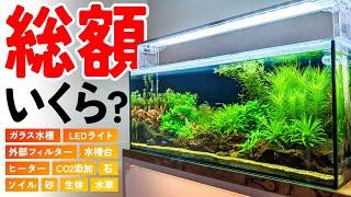 総額いくら？機材や生体込で60cmスリム水草水槽がいくらで作れるのか？ #アクアリウム #熱帯魚