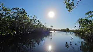 Hells Bay Kayak Trail Everglades Realtime