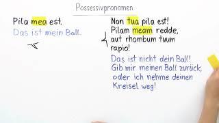 Possessivpronomen einfach erklärt | sofatutor