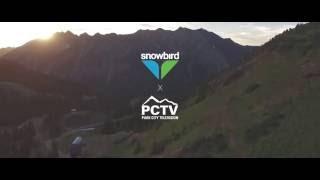 Snowbird's Big Mountain Trail