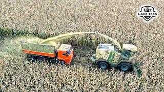ВОТ ЭТО МОЩЬ: Кормоуборочный комбайн KRONE BIG X 770 убирает разом 12 рядов кукурузы!