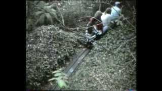 5 INCH GAUGE GARDEN RAILWAY