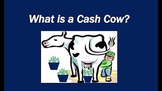 What is a Cash Cow?