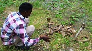 Vava Suresh with 20 Attacking Cobras !! SNAKE MASTER EP 175 05-08-2016