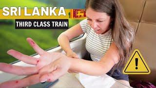 Best Train Ride in Sri Lanka (just don't make this mistake)