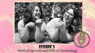 Weirdify Podcast 3-Herds of Squirrels and Difficult Terminology