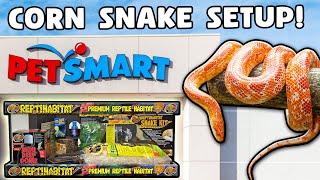 Corn Snake Setup for Beginners!