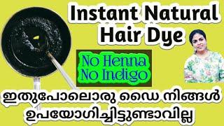 നരച്ച മുടി പൂർണമായും കറുപ്പാകും l Natural Hair Dye Malayalam l Turn White Hair to Black Naturally