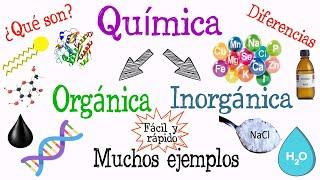 ¿Qué es Química Orgánica y Química Inorgánica? [Fácil y Rápido] | QUÍMICA |