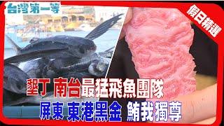 台灣第一等《飛魚來了漁民笑了  日曬烘烤飛魚現鮮味 /  全台唯一  秒殺鰹竿釣  / 黑鮪魚獨有料理  香滷喉嚨有嚼勁》假日精選