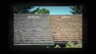 Cedar Roof Cleaning Company Chicago IL | Cedar Roof Cleaning Services and Repair