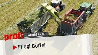 Nimmersatter Büffel: Fliegl Überlade-Ladewagen | profi #Fahrbericht