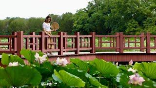 The Enchanting Beauty of the Old Summer Palace