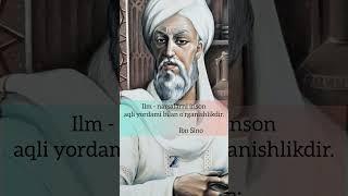 Ibn Sino 