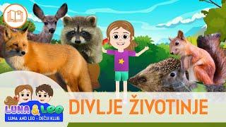 Divlje Životinje - Šumske životinje za decu | Učimo životinje | Izlet u šumu | Šumska avantura