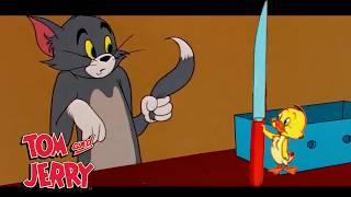 Tom & Jerry going feral | @GenerationWB