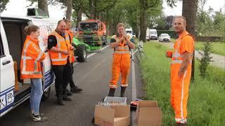 Storm raast door de gemeente Noordenveld