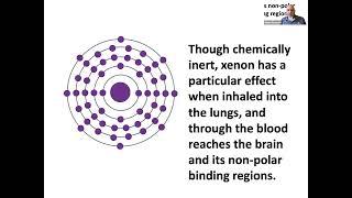 The 'Quantum Underground' - Where Life Defeats Decoherence