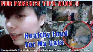 Alternate Healthy Food For My Cats | VLOG TIPS !! | Bhien De Castro