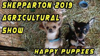 Shepparton 2019 Agricultural Show | Happy Puppies