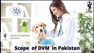 Scope of DVM in Pakistan | Doctor of veterinary medicine scope | Career after dvm | DVM scope |