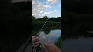 Aland auf Wobbler. Язь на воблер.#shorts#shortsvideo #youtubeshorts#голавль#язь#live#fishing#4k