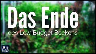 Das war das Low-Budget Becken (letztes Feedback) | AquaOwner