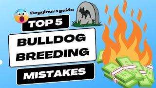 Bulldog Breeding: Common Mistakes costing Thousands - and the Dog Myths You Need to Know!