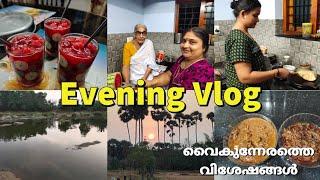 ഒരു Evening Vlog/ Evening Routine Malayalam / Anju's World