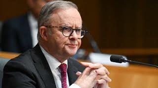 ‘Irreparable self-harm’: Labor’s renewable energy policies slammed