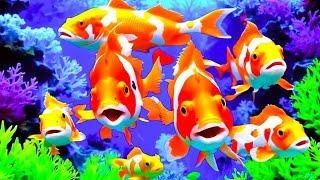 Aquarium 4K VIDEO (ULTRA HD) - Amazing Beautiful Coral Reef Fish - Sleep Relaxing Meditation Music.