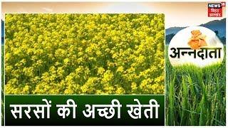 Annadata | सरसों की अधिक उपज हेतु फसल में जरूरी कार्य | Mustard Cultivation