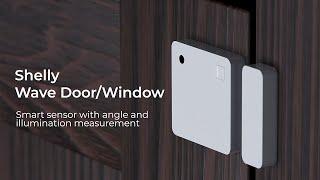 Shelly Wave Door/Window