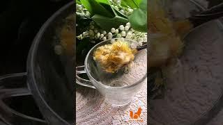 Чай из цветов одуванчика Чай із квітів кульбаби Dandelion flower tea