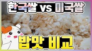 [한국쌀 vs 미국쌀] 밥맛 비교