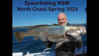 Spearfishing NSW North Coast Spring  2024