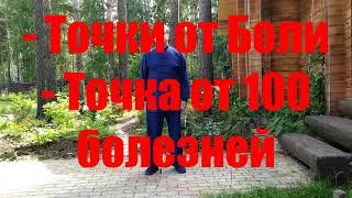 Точки от боли и Точка от ста болезней