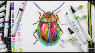 Brush VS. Chisel/Bullet Alcohol Markers- Let's Draw a Beetle Sketchbook Sunday