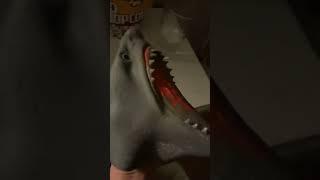 Shark puppet tries hot Cheetos #shorts