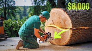 Extremely dangerous and giant tree cutter | Stump Destroy Machines #7