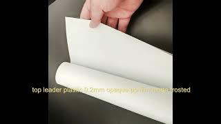 top leader plastic 0.2mm opaque pp film